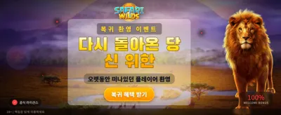 야생의 사파리, 짜릿한 모험