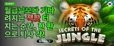 VIP 주간 무제한 캐시백 promotion